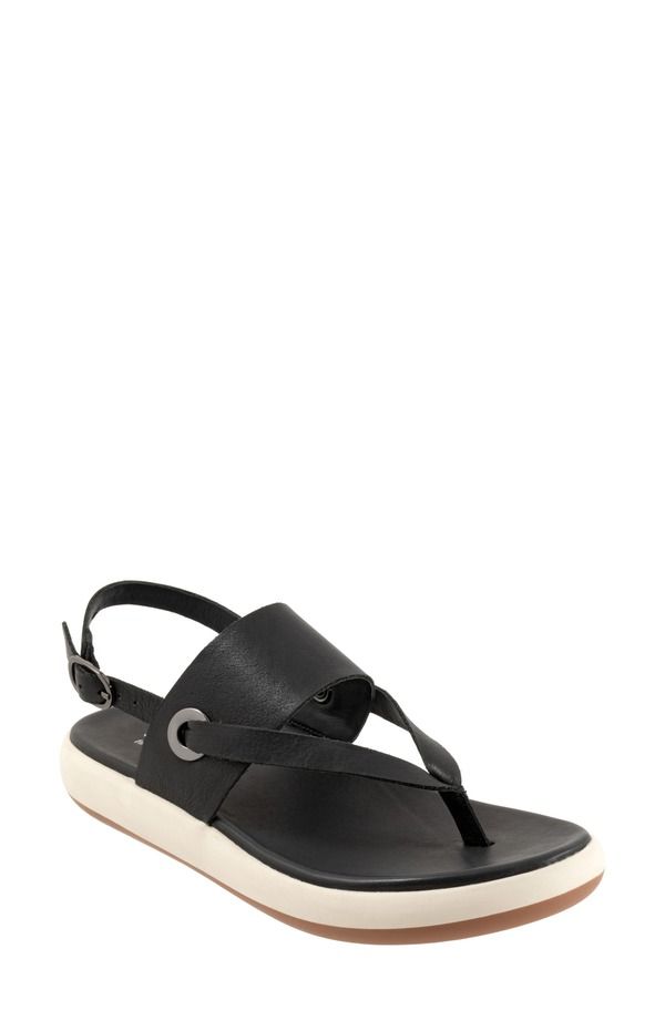 ソフトウォーク レディース シューズ ヒール サンダル SoftWalk Joliet Slingback Sandal Women BLACK ブラック