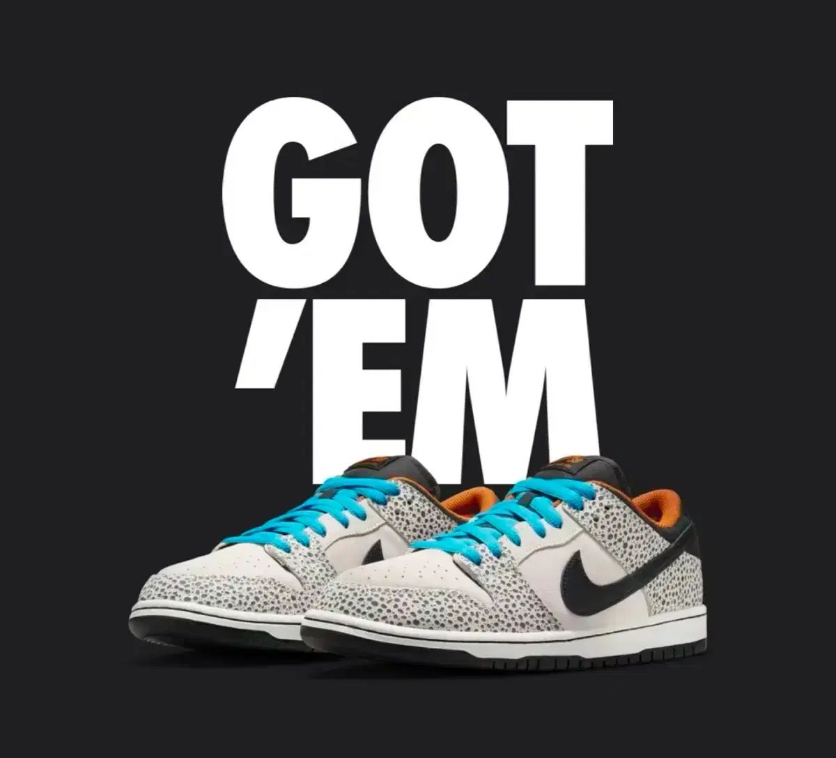 NIKE ナイキ SB ダンク ダンク ロー プロ エレクトリック FANTOM FANTOM アンド ブラック 285 新品