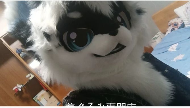 狼　犬　猫　着ぐるみ 　ヘッド ケモノ ファースーツ ぬいぐるみ コスプレ コスチューム Kurumi 一点物 D177