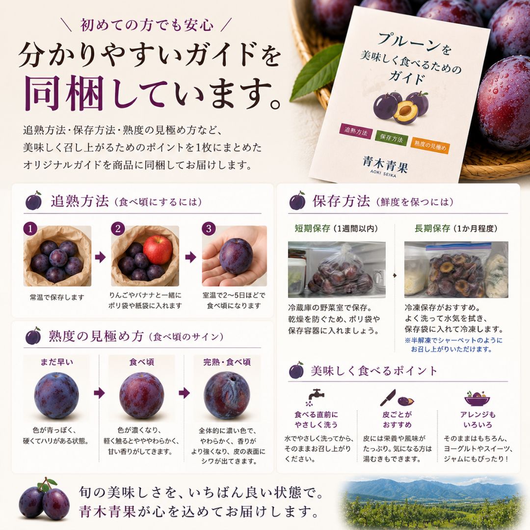 予約】長野産プルーン 約4.5kg クール便 7月下旬発送 - メルカリ