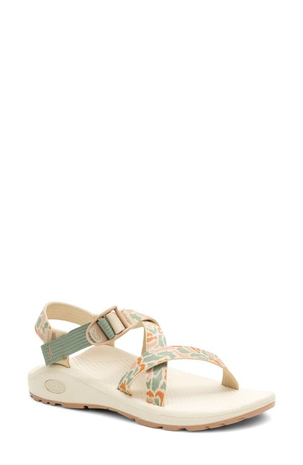 チャコ レディース シューズ サンダル Chaco Z Cloud Sandal Pebble Sage セージ