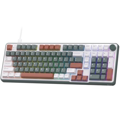RK ROYAL KLUDGE C98 HE メカニカルゲーミングキーボード、ホール効果磁気スイッチ、ホットスワップ対応 95% 有線 RGB キーボード、ラピッドトリガー調整可能アクチュエーション、8K ポーリングレート、Mac & Win 用 Pro Ju