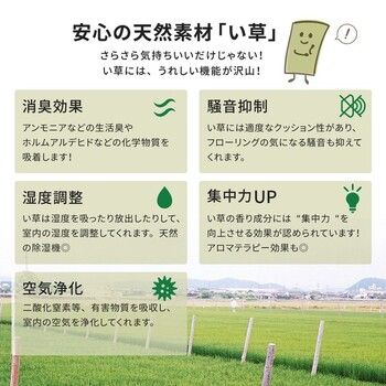 い草 おもてなし上敷き 江戸間2畳 雅 みやび 最高級品質 経糸2倍 丈夫で長持ち