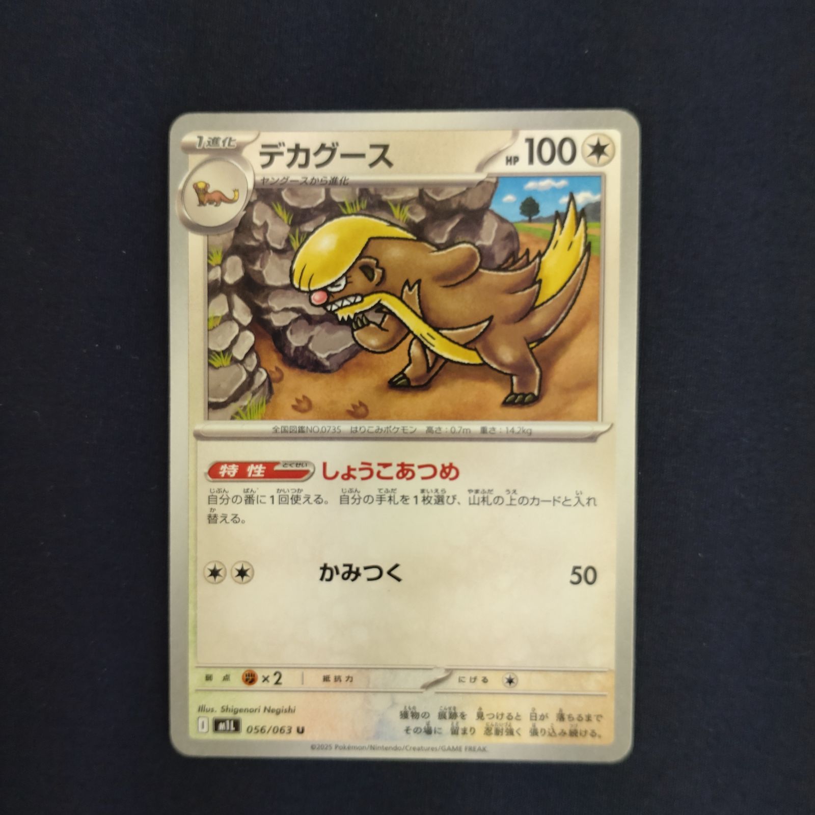 P100777(むしょく) ポケモンカード デカグース 100枚 まとめ売り