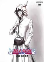 【中古】 BLEACH ブリーチ 破面篇 (36巻セット) 出現篇,虚圏潜入篇,激闘篇,VS 死神篇,過去篇,空座決戦篇,滅亡篇 [レンタル落ち] [DVD]