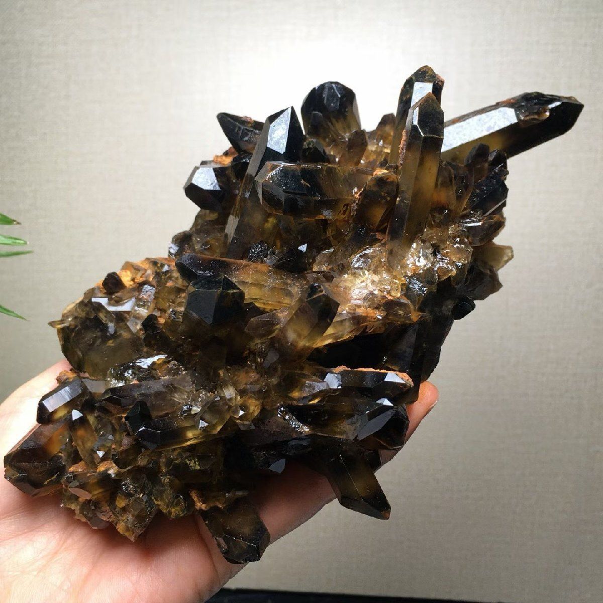 モリオン 黒水晶 科学、自然 最強の魔除け クラスター 0930-YYZB