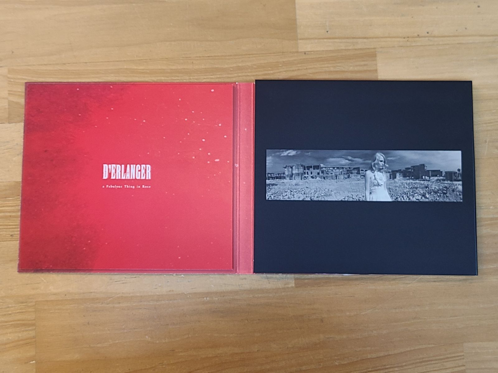 CD a Fabulous Thing in Rose 初回生産限定盤 D'ERLANGER デランジェ