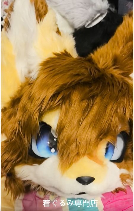 狼　犬　猫　着ぐるみ 　ヘッド ケモノ ファースーツ ぬいぐるみ コスプレ コスチューム Kurumi 一点物 D202