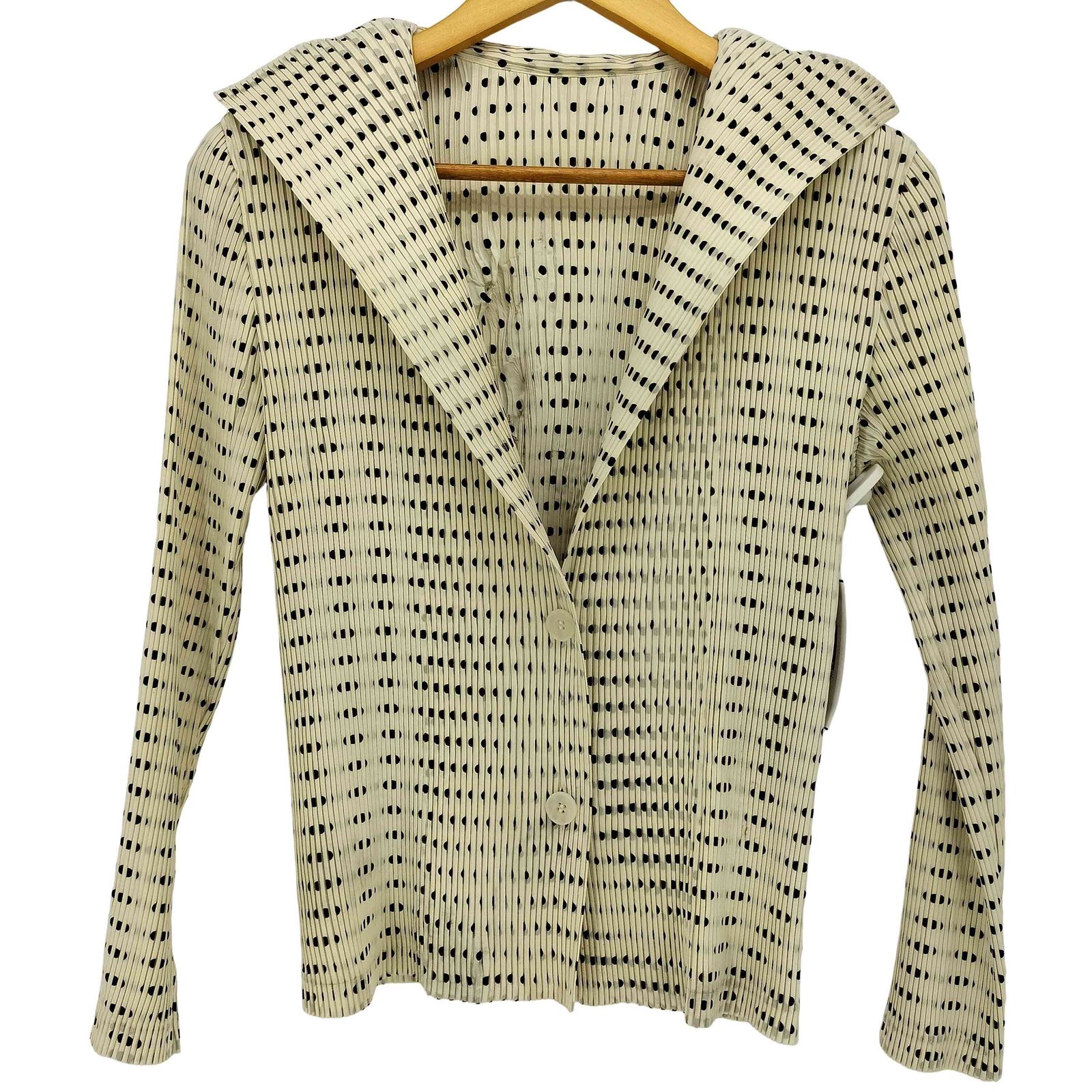 イッセイミヤケ ISSEY MIYAKE 01ss 銀タグ ドット プリーツ ハイネック ブラウス レディース 2