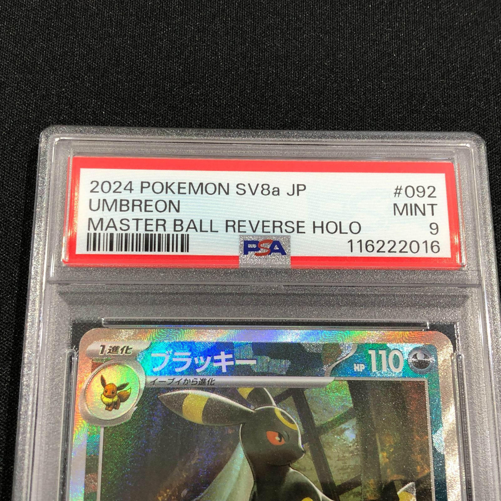 七重浜店56-4-080709] 【PSA9】ブラッキー （マスターボール柄/ミラー