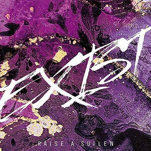 CD)EXIST【Blu-ray付生産限定盤】／RAISE A SUILEN - メルカリ