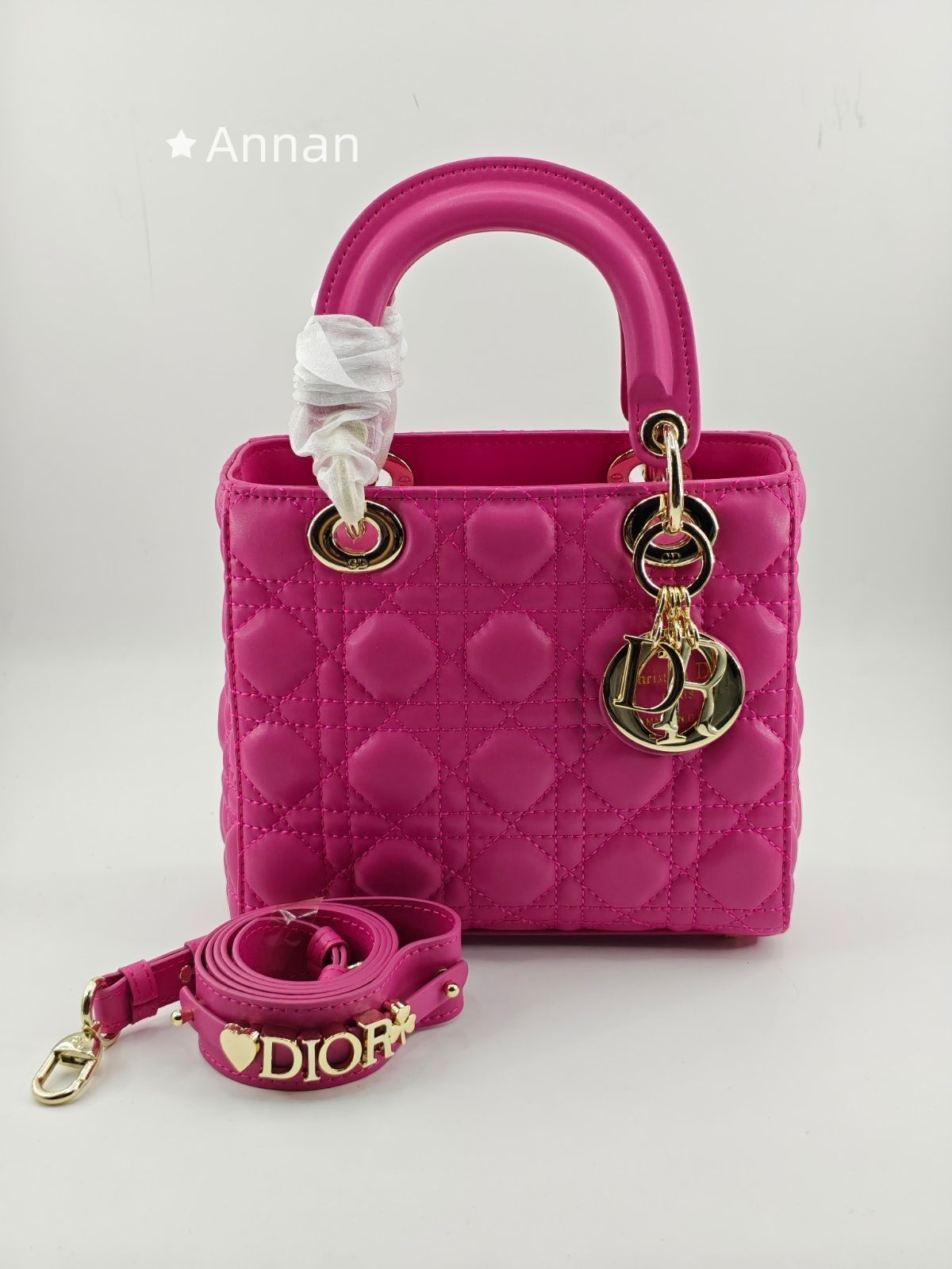 新型 激レア レディース Christian Dior クリスチャンディオール ハンドバッグ