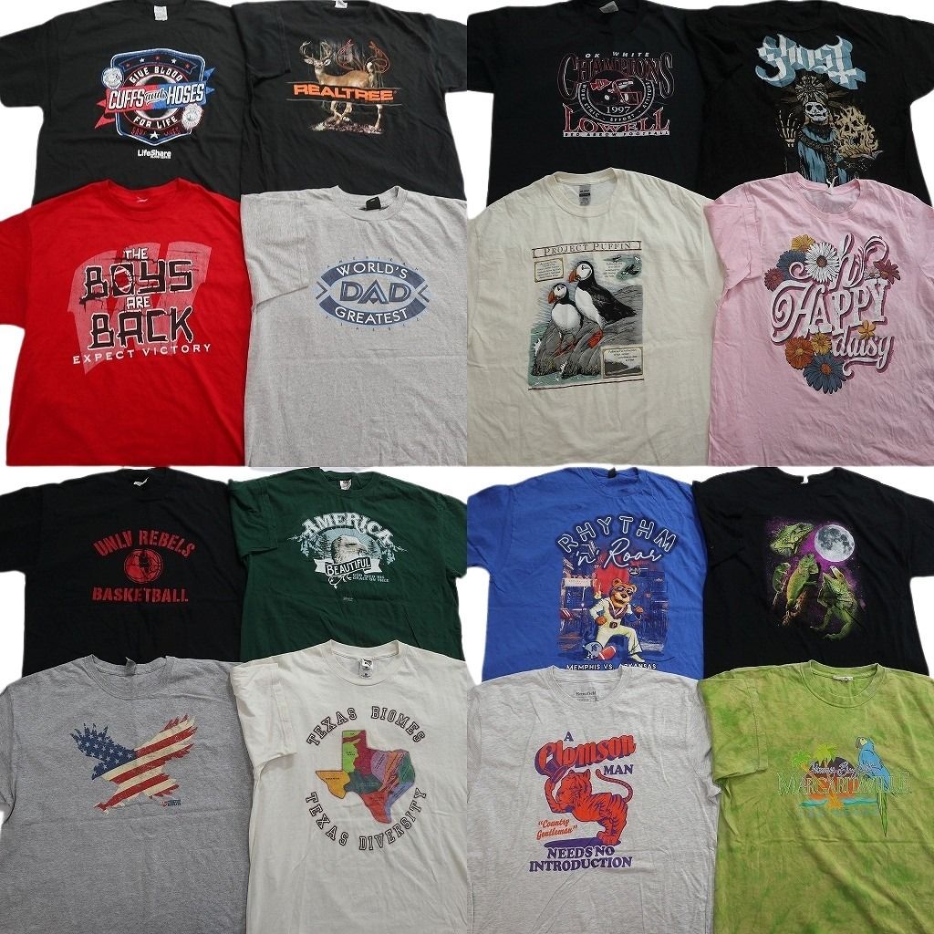 古着卸 まとめ売り プリント Tシャツ 16枚セット ( メンズ XL ) リアルツリー アニマル 動物 英文字プリント 中古 古着 NF6346