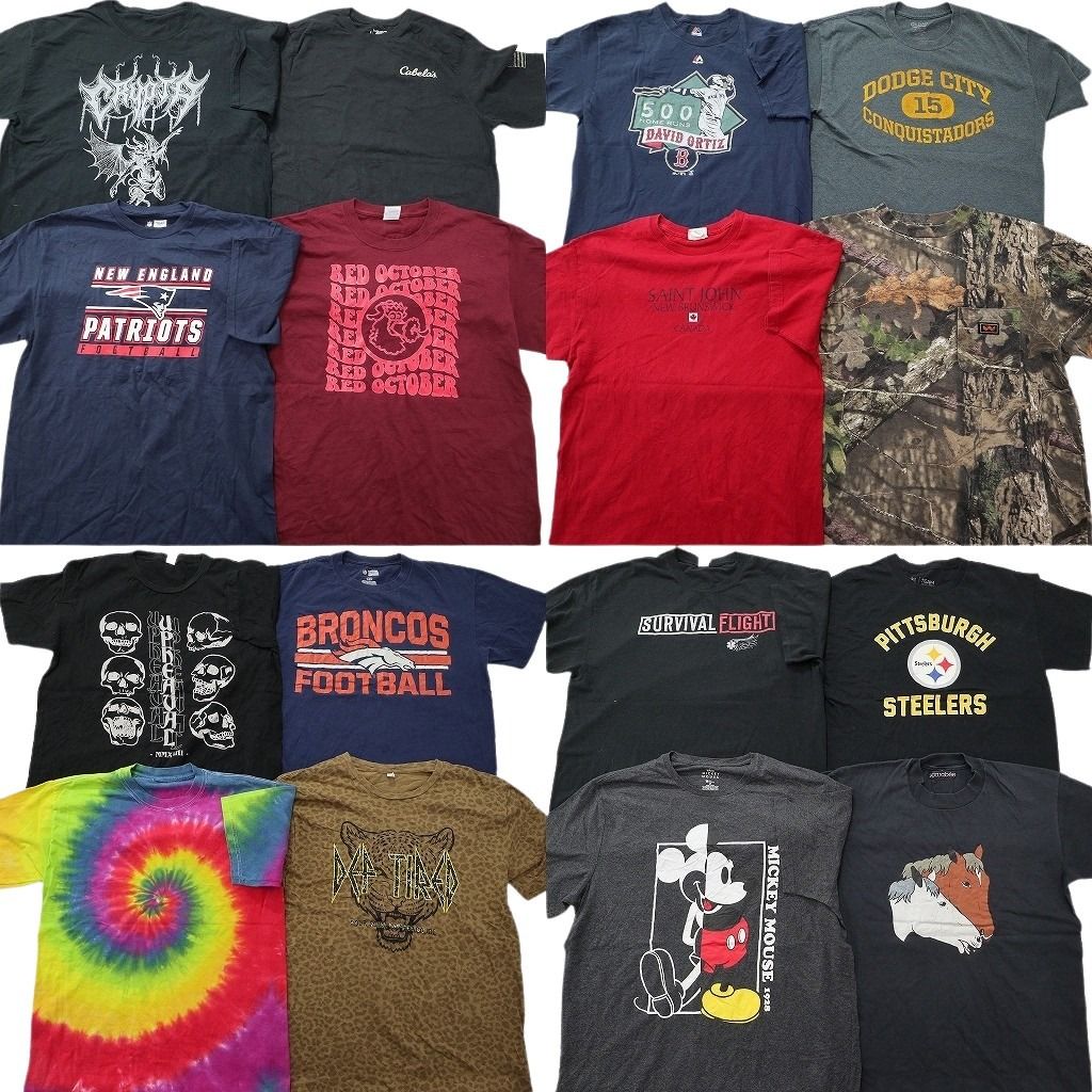 古着卸 まとめ売り プリント Tシャツ 16枚セット ( メンズ L