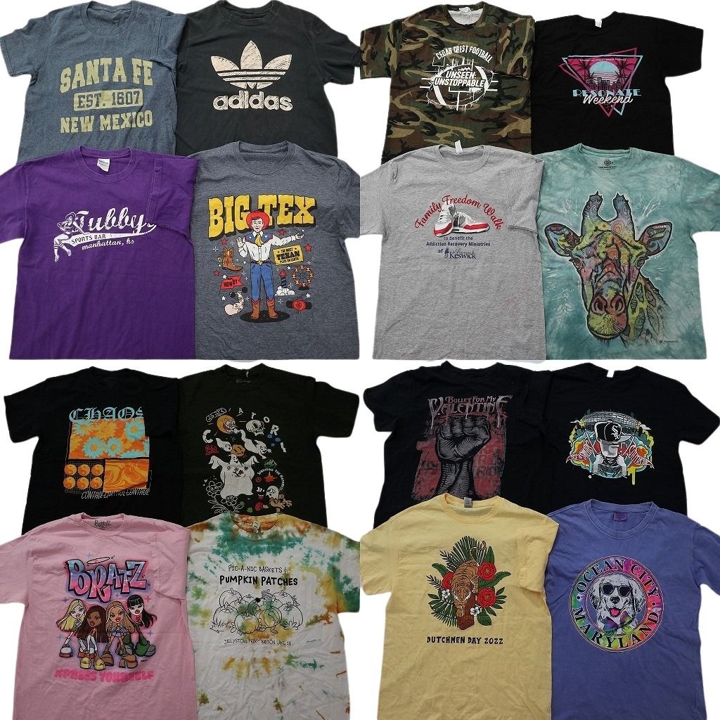 古着卸 まとめ売り プリント Tシャツ 16枚セット ( メンズ M