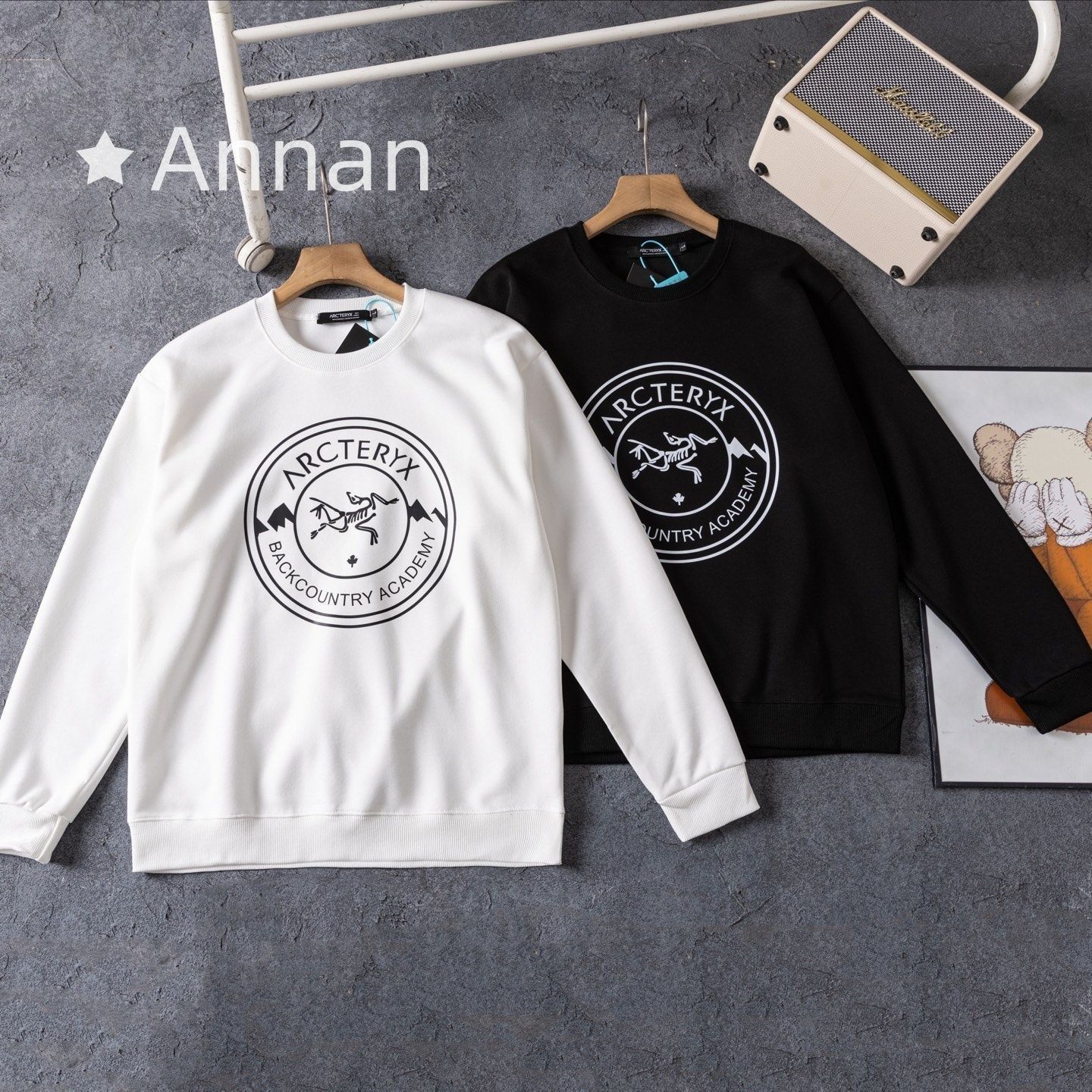 新製品 本日特価 美新品 タグ付 ARC'TERYX アークテリクス パーカー シンプルフード付きパーカー ユニセックス