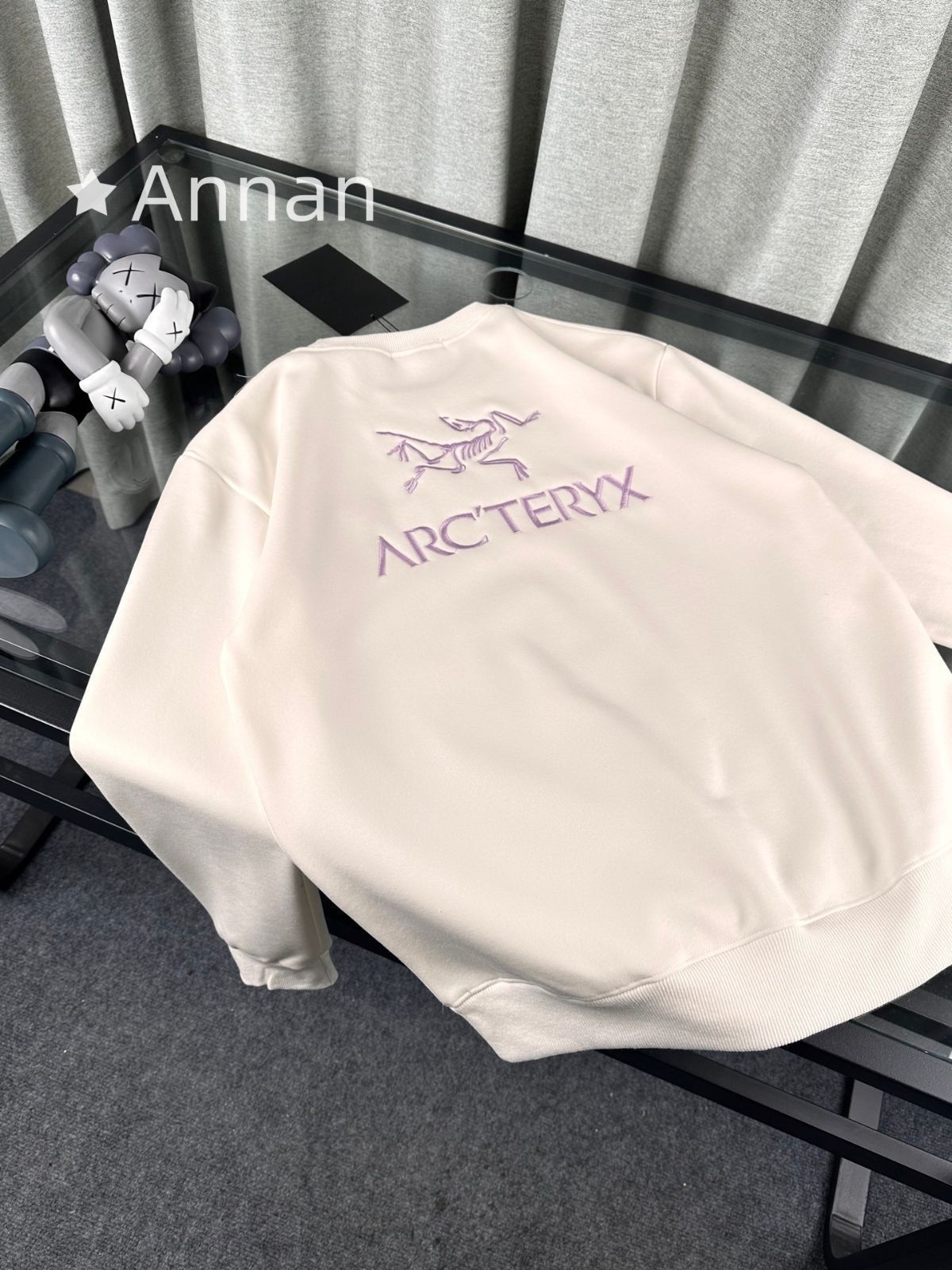 大人気 超美品 新品！新品 タグ付 ARC'TERYX アークテリクス パーカー シンプルフード付きパーカー ユニセックス
