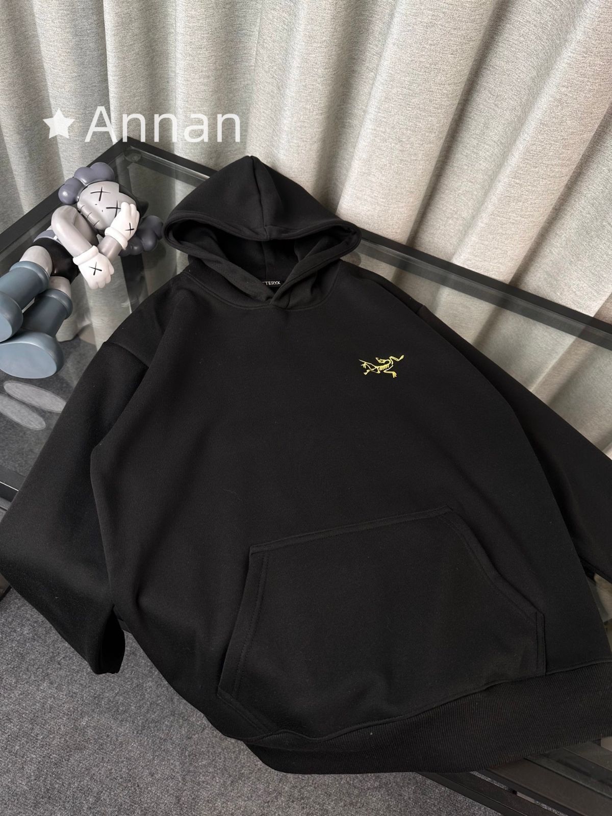 超美品 限定品 超美品 超美品 新品 タグ付 ARC'TERYX アークテリクス パーカー シンプルフード付きパーカー ユニセックス