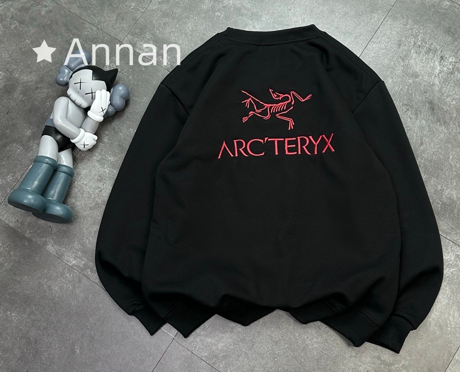 高級美品 状態良 新品！新品 タグ付 ARC'TERYX アークテリクス パーカー シンプルフード付きパーカー ユニセックス