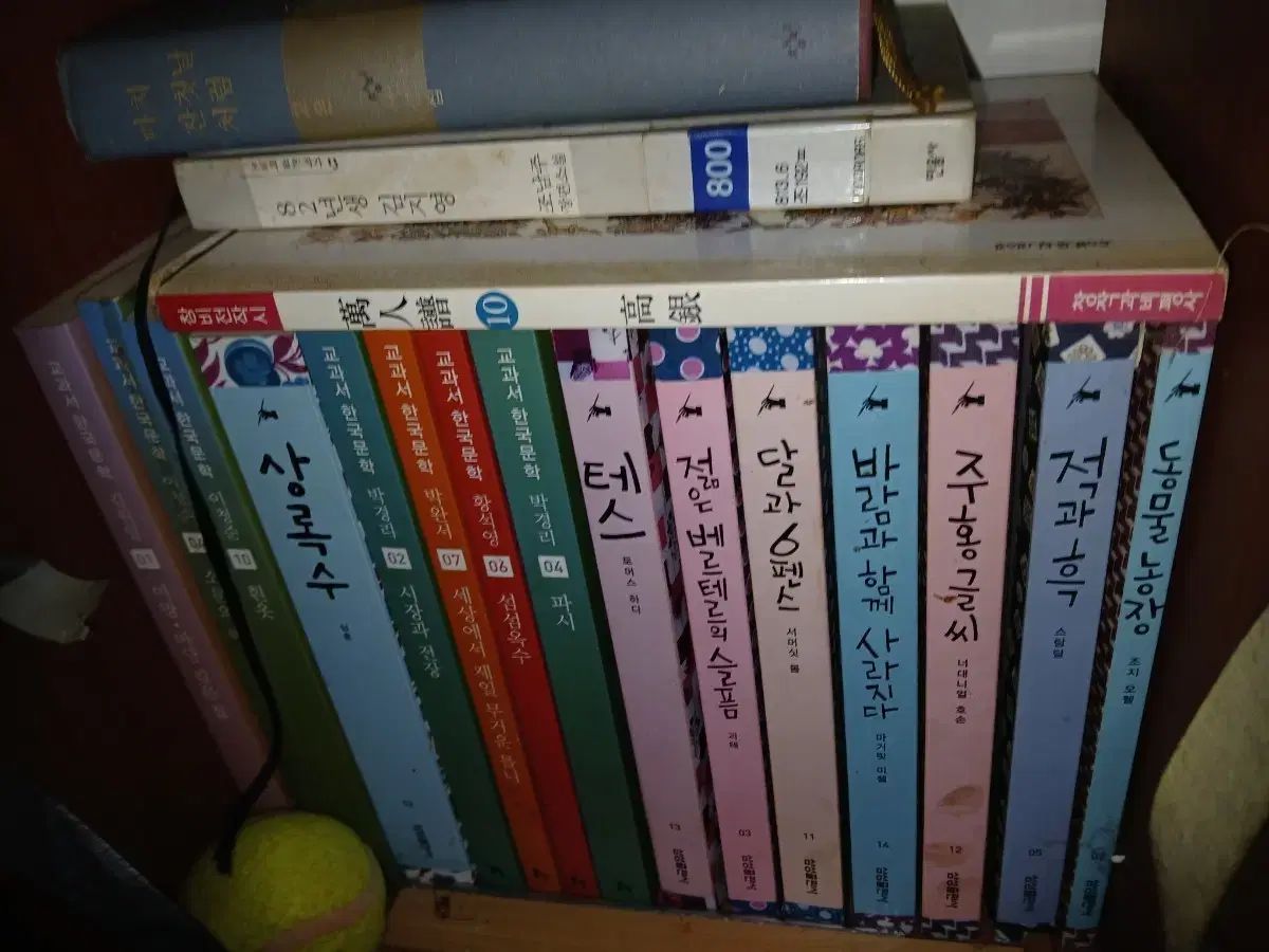緋文字常緑樹など10巻 新品の本レベル
