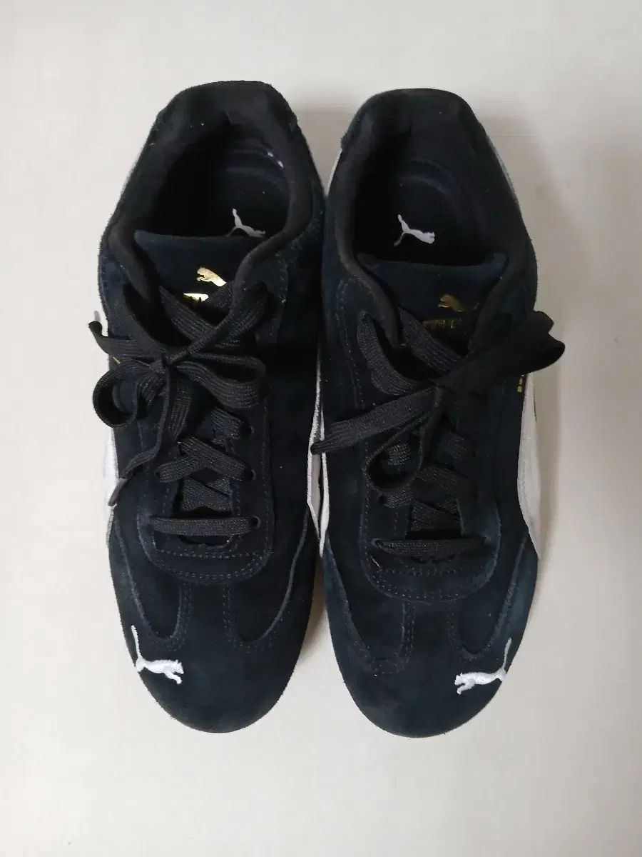 PUMA スピードキャット ブラック 240