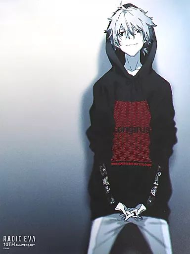 RADIO EVA 10TH ANNIVERSARY 渚カヲル キャンバスアート 中古】雑貨 渚カヲル EVA Canvas Art(illustration