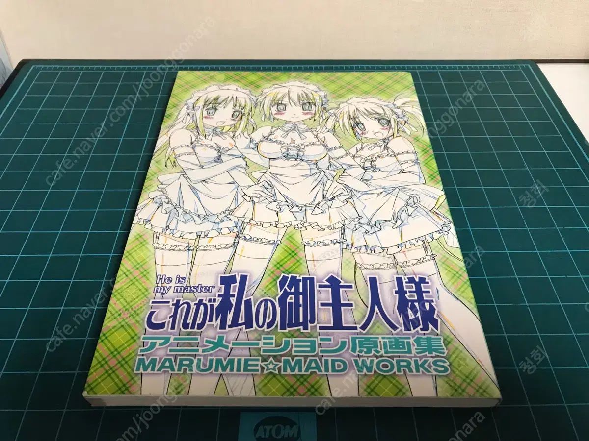 ガイナックス アニメ この人が私の主人 原画集 アートブック 画集 写真集