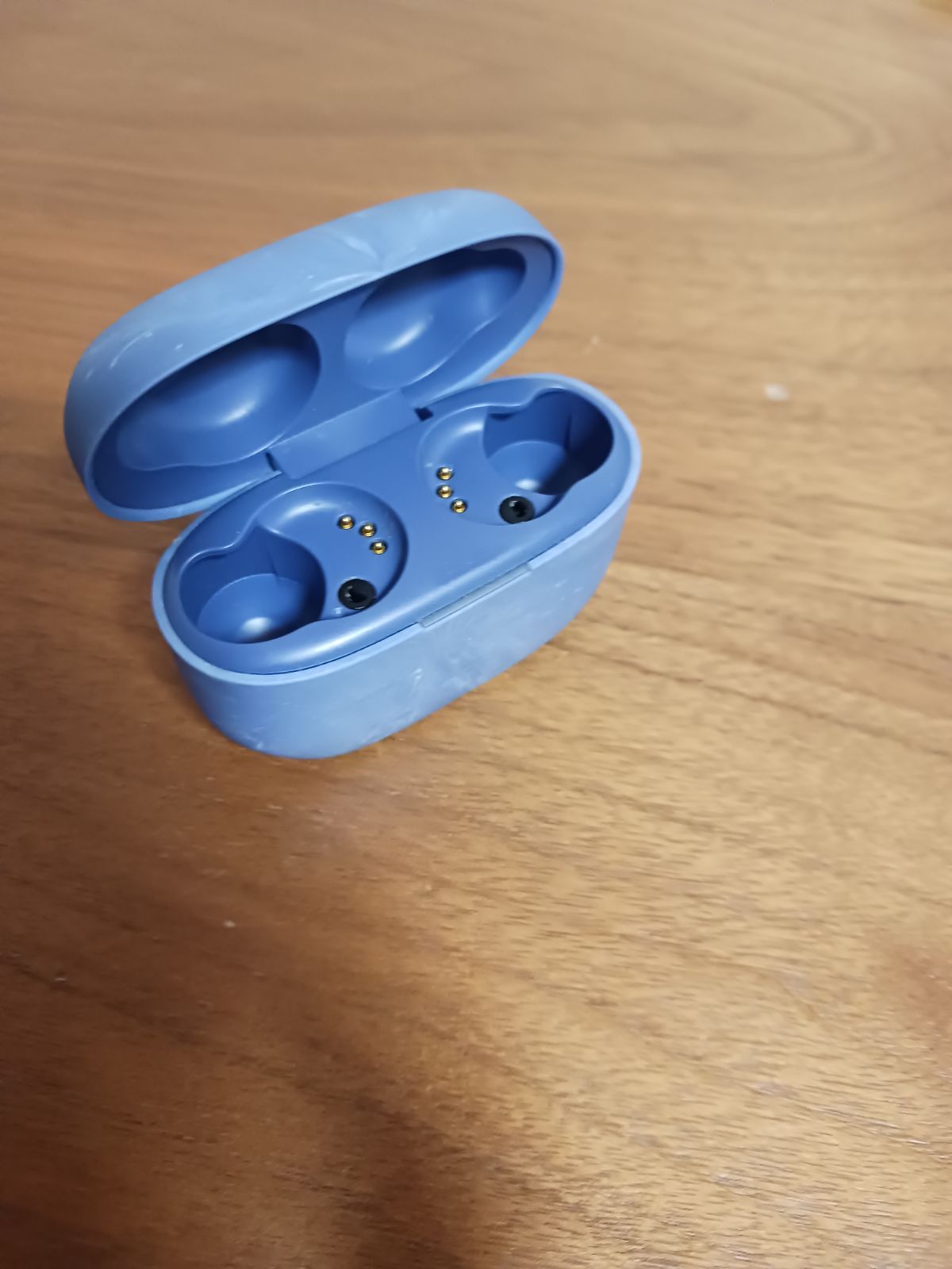 美品 LinkBuds S WF-LS900N 充電ケースのみ イヤホンケース アース