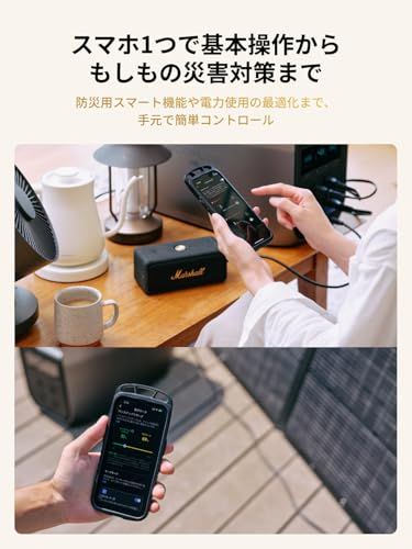 EcoFlow ポータブル電源 DELTA 3 Max 2048Wh 大容量 2000W定格出力 (瞬間最大4400W) エコフロー リン酸鉄リチウム 10年長寿命 車中泊・アウトドア・防災・停電対策に最適 純正弦波 AC出力 アプリ遠隔操作対応ys