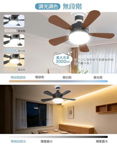 ☆新品☆SUKITEN シーリングファンライト【メモリー・正逆回転・節電に