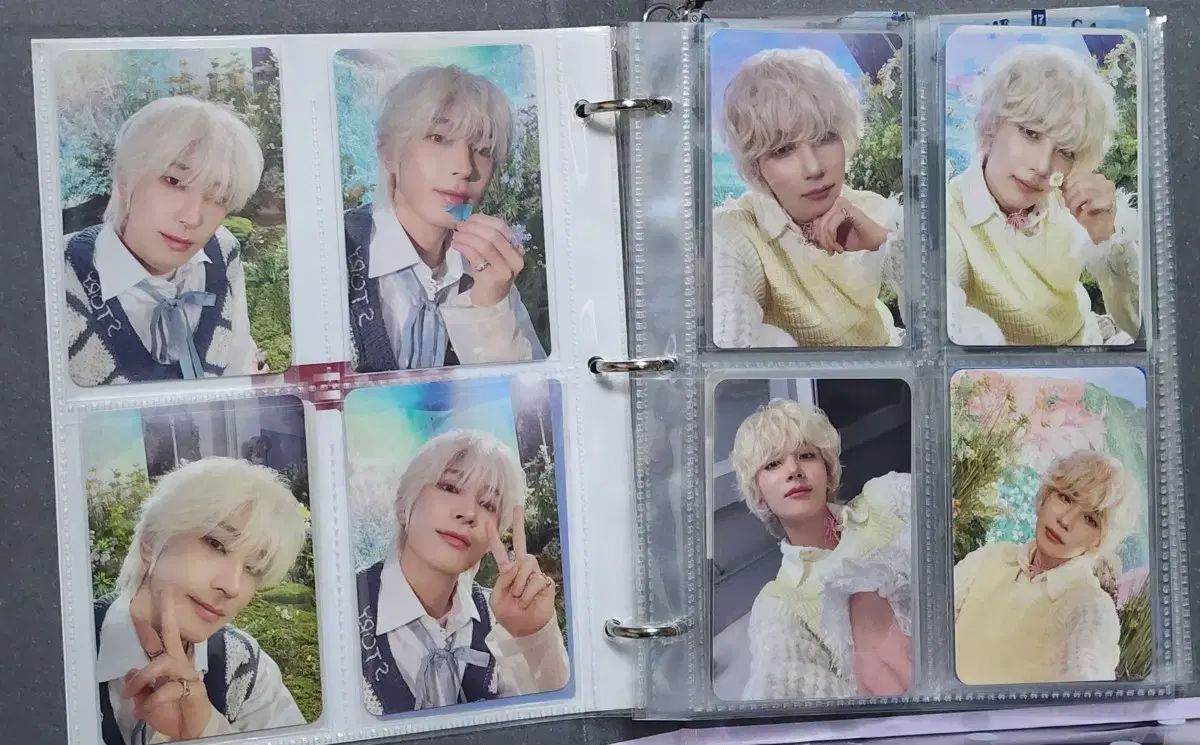 SEVENTEEN(セブンティーン・セブチ) ディスマン ジョンハン(JEONGHAN) ウォヌ(WONWOO) トレカ