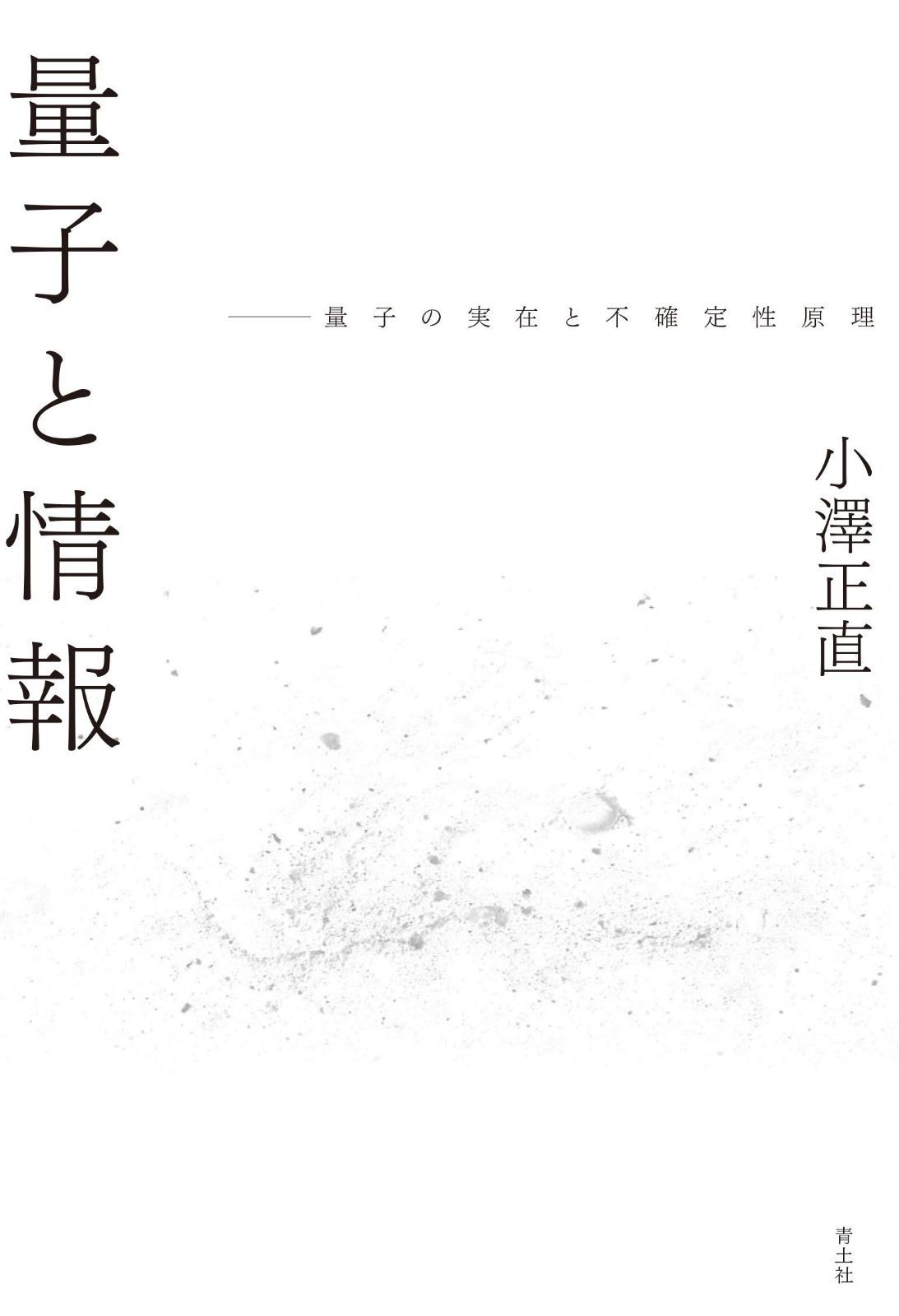 量子と情報 ―量子の実在と不確定性原理―