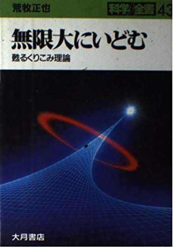 無限大にいどむ: 甦るくりこみ理論 (科学全書 43)