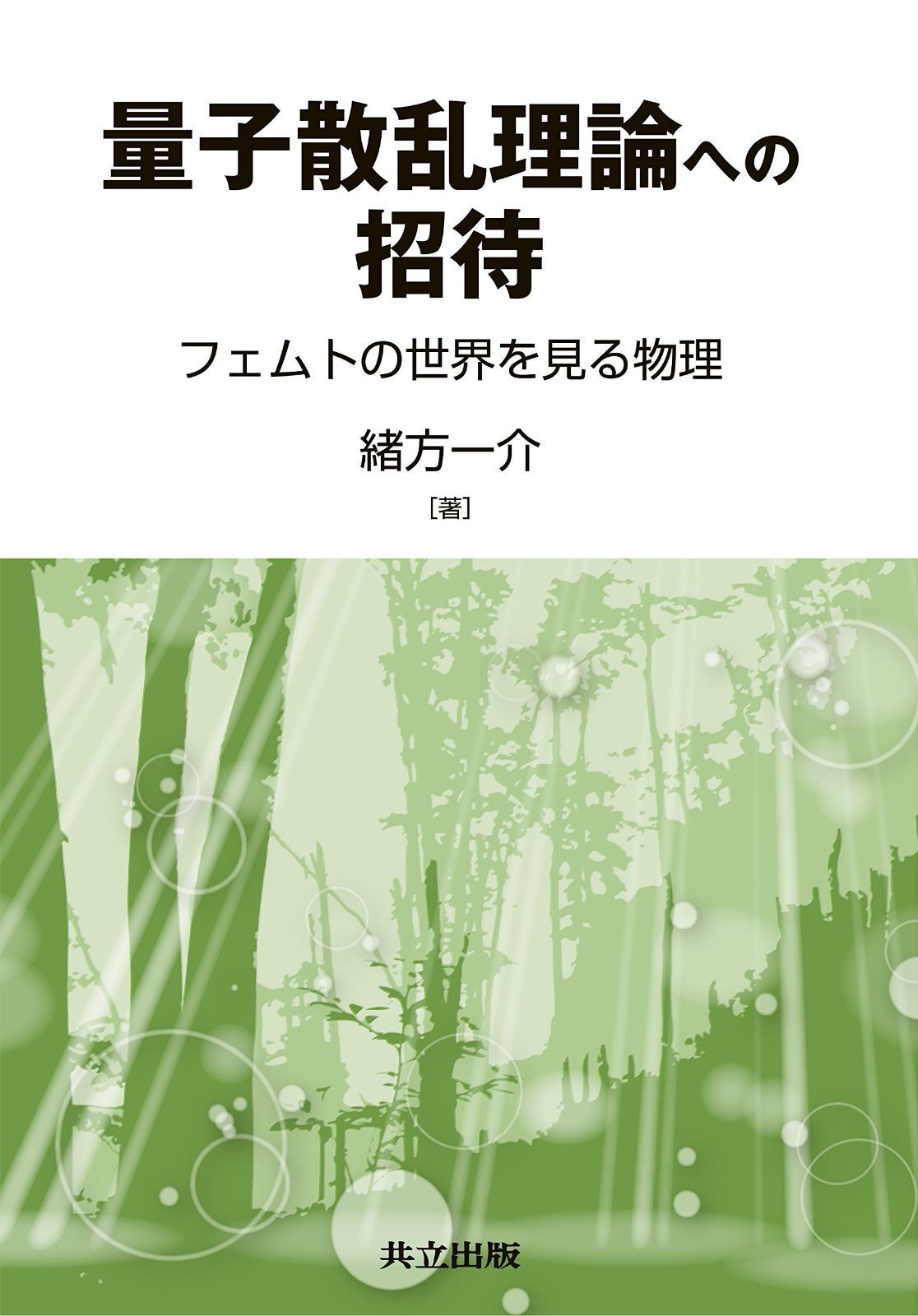 量子散乱理論への招待 ―フェムトの世界を見る物理―
