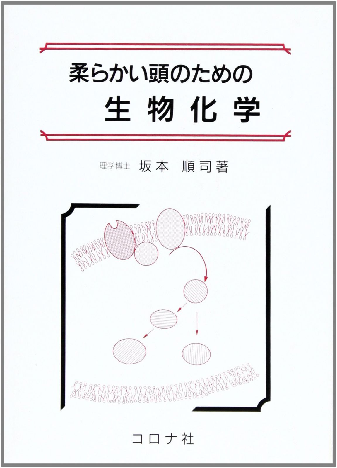 柔らかい頭のための生物化学