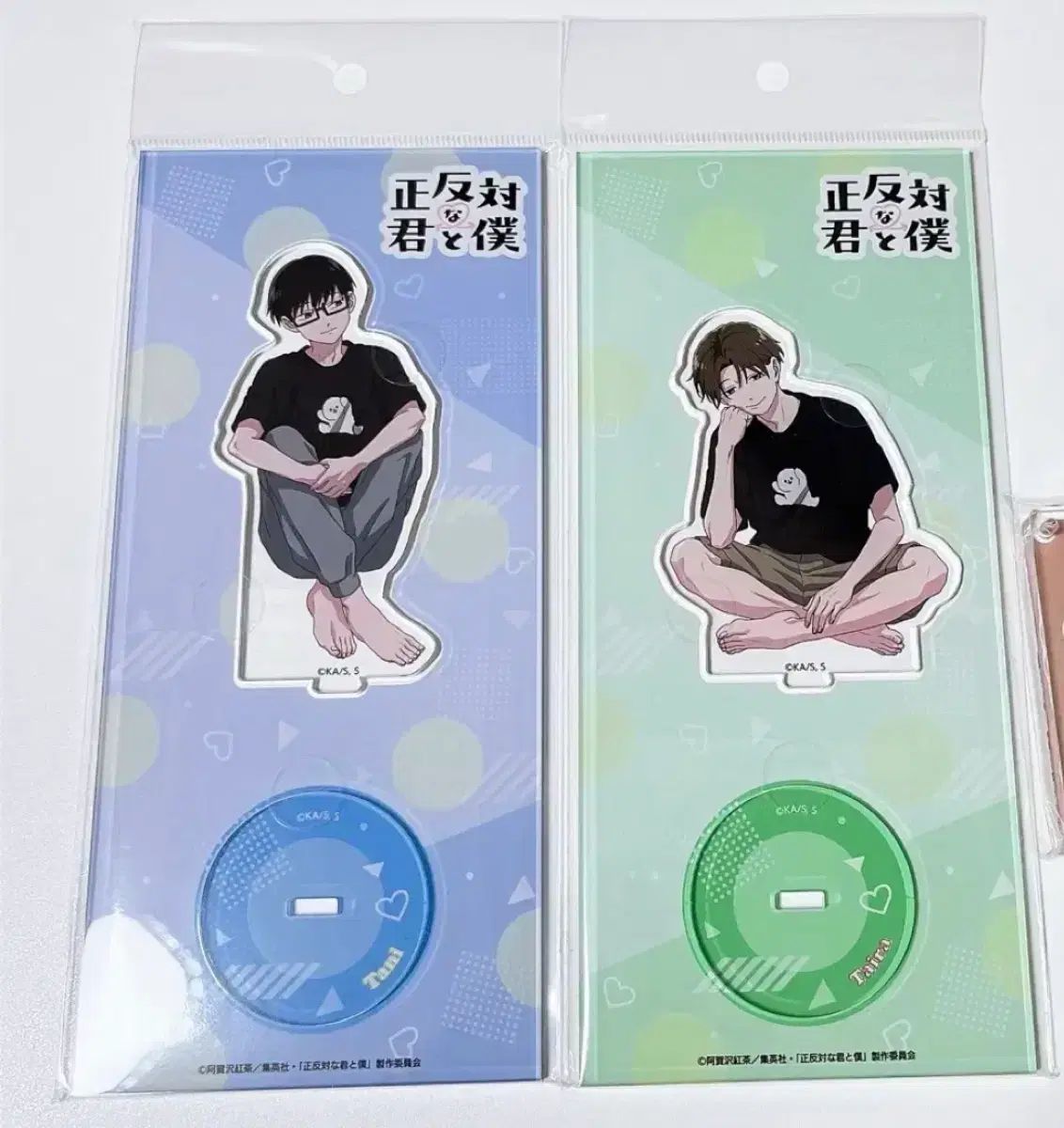 まとめ売り 正反対の君と僕 アクリル スタンド タニ タイラ