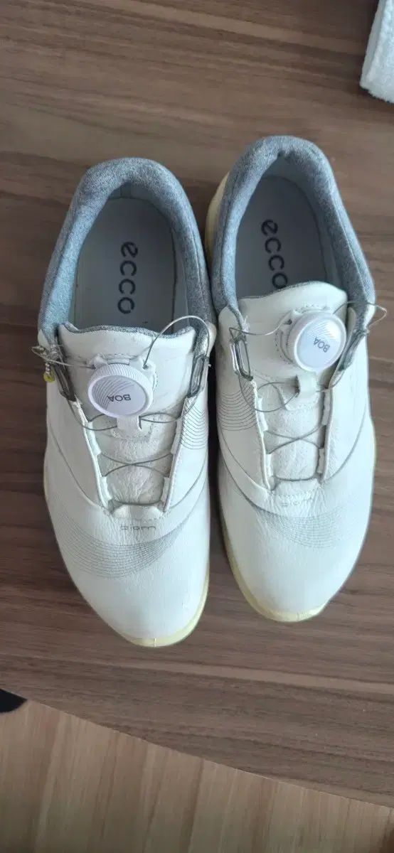 エコー バイオム GORE-TEX ゴアテックス BoA（ボア） ゴルフシューズ 235