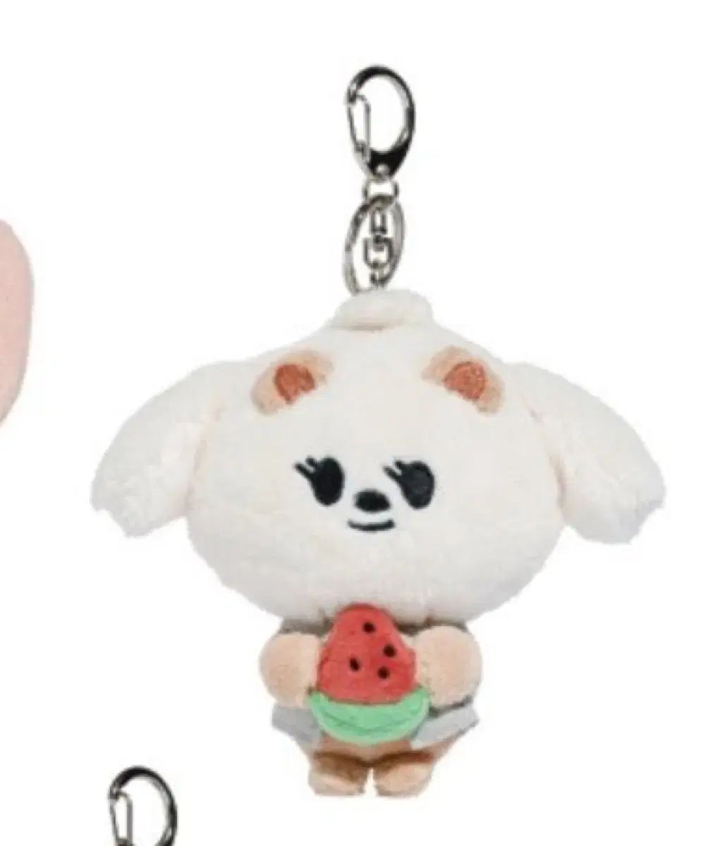 スイカ 밤긋 (未開封新品)