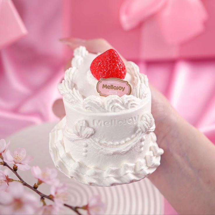 新品未使用】メロジョイ mellojoy いちごショートケーキホール ホール