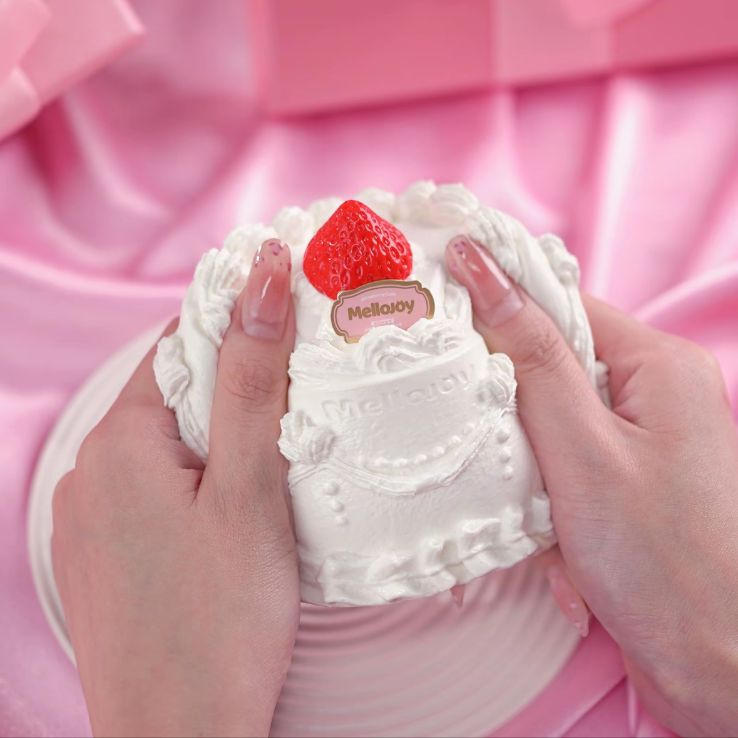 新品未使用】メロジョイ mellojoy いちごショートケーキホール ホール