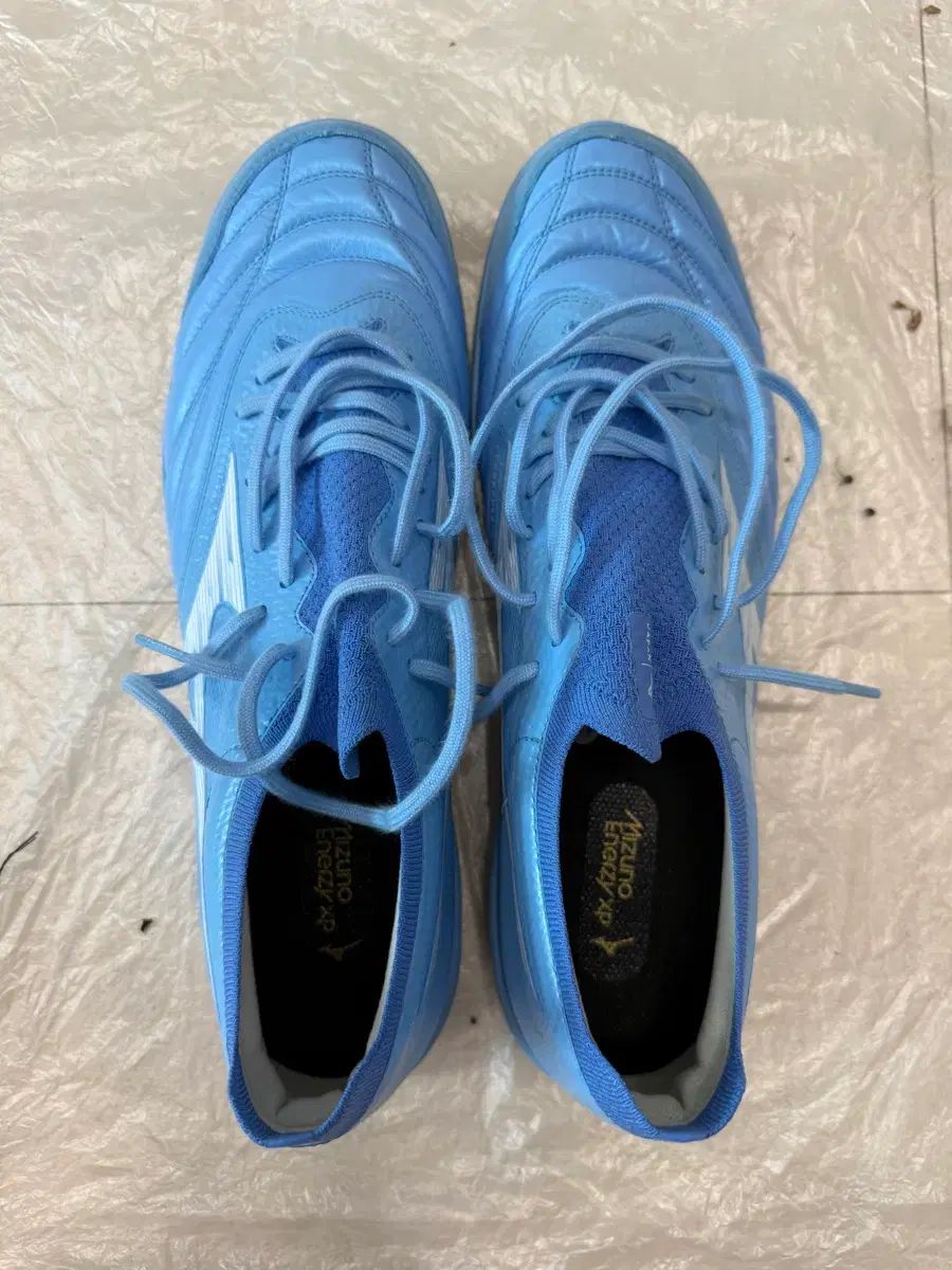 MORELIA NEO SALA ベータ JAPAN TF(280)
