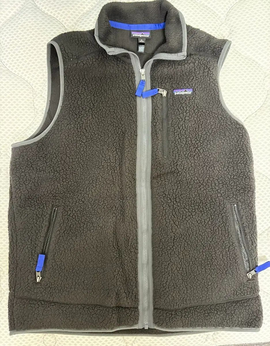 (XL) パタゴニア レトロ フリース