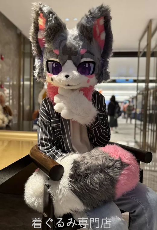 狼　犬　猫　着ぐるみ 　ヘッド ケモノ ファースーツ ぬいぐるみ コスプレ コスチューム Kurumi 一点物 D216