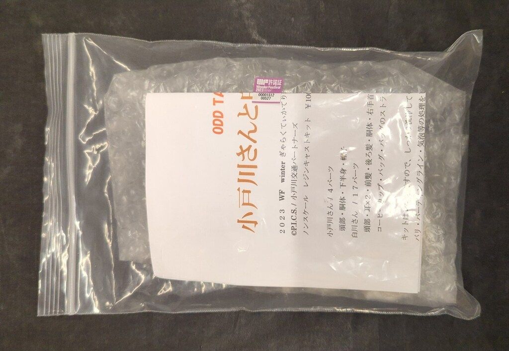 ぎゃらくてぃかてりおす レジンキャストキット 原型 つめづかひろゆき 小戸川さんと白川さん(再版)