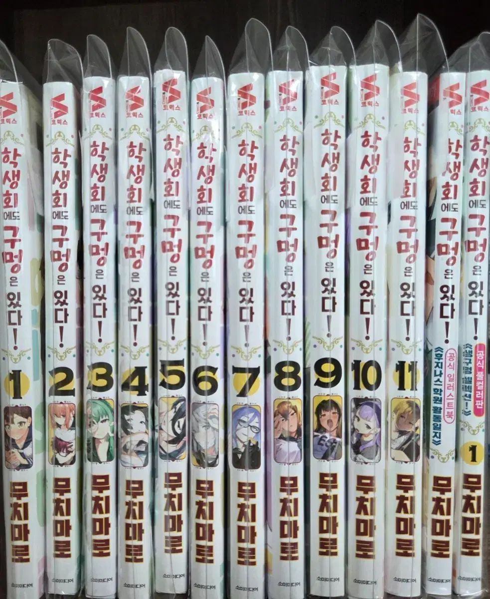 学生会にも 穴は ある 漫画 全巻＋イラストブック＋カラー版