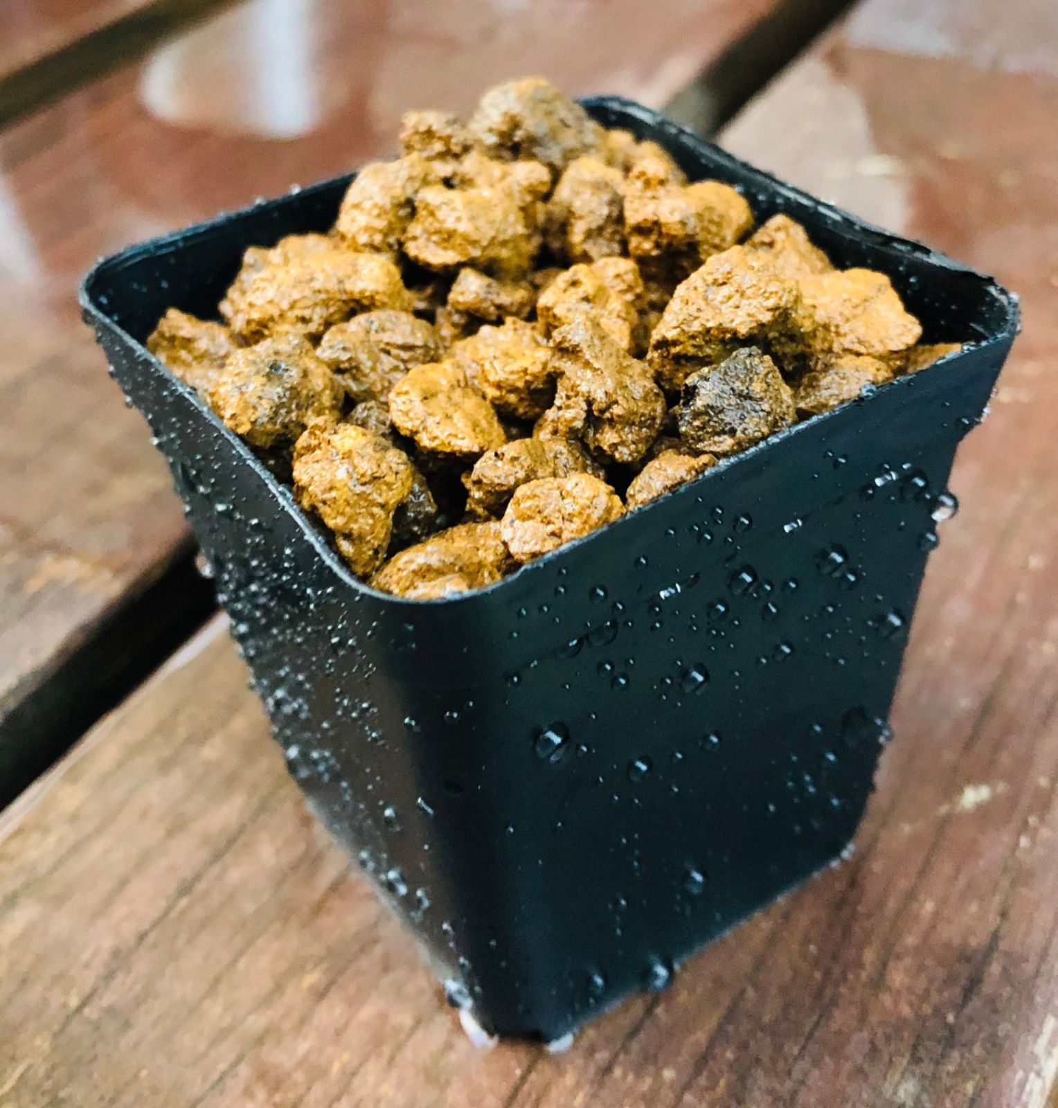 樽型メダカ飼育ケース【大】麦飯石、赤玉土セット - メルカリ