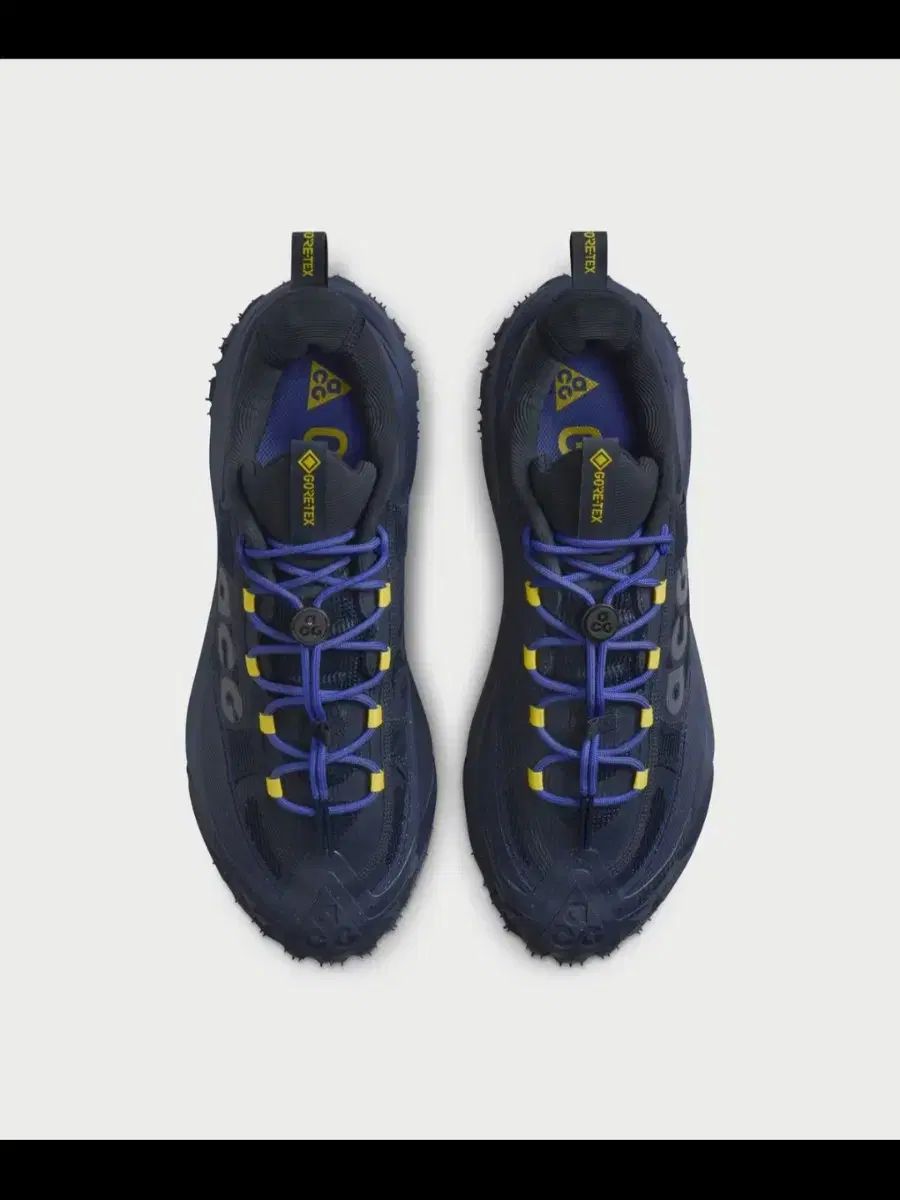 ナイキ ACG マウンテン フライ 2 ゴアテックス 260