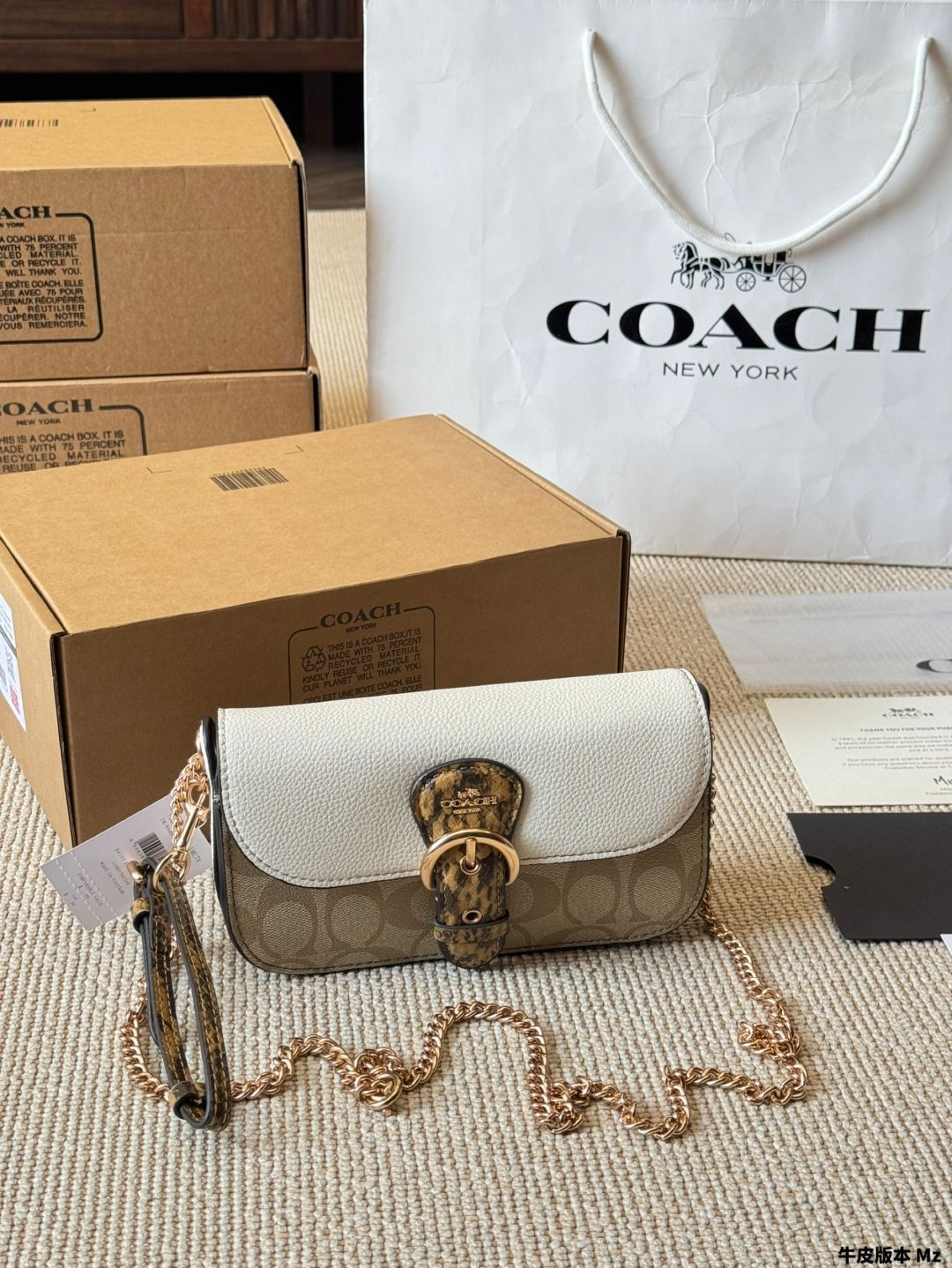 【今日特価】Coach Kleo Chain Bag - コーチ クレオ チェーンバッグ-WTO輸入3