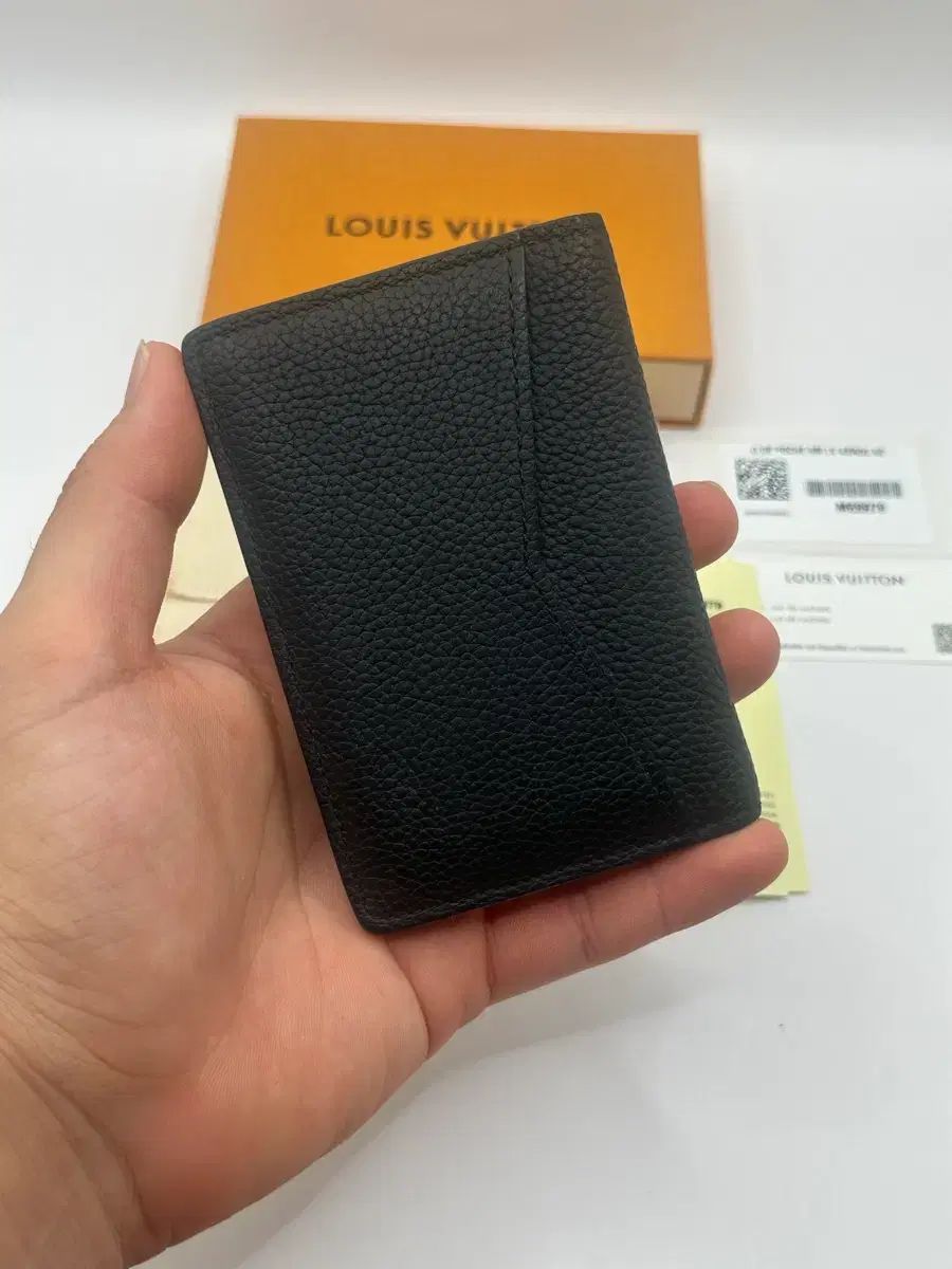Louis Vuitton エアログラム オーガナイザー カードウォレット