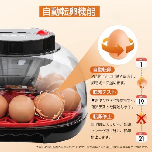 ☆新品☆孵卵器 自動転卵 12個用 エルエンスタジオ インキュベーター